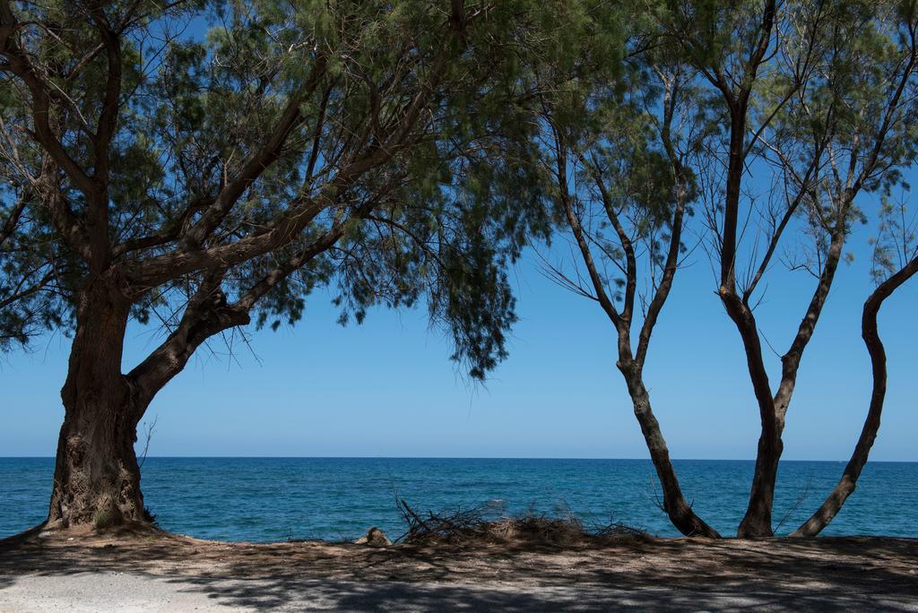 Rea'S Sea House Villa Kato Galatas ภายนอก รูปภาพ